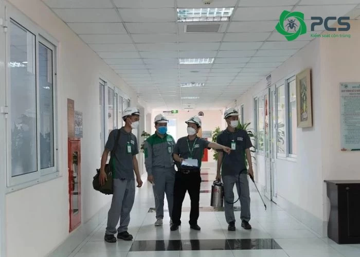 Tại sao cần sử dụng dịch vụ diệt mối tại Đồng Nai?